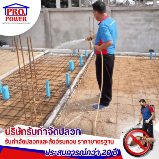 รับเหมาวางระบบกำจัดปลวก พัทยา