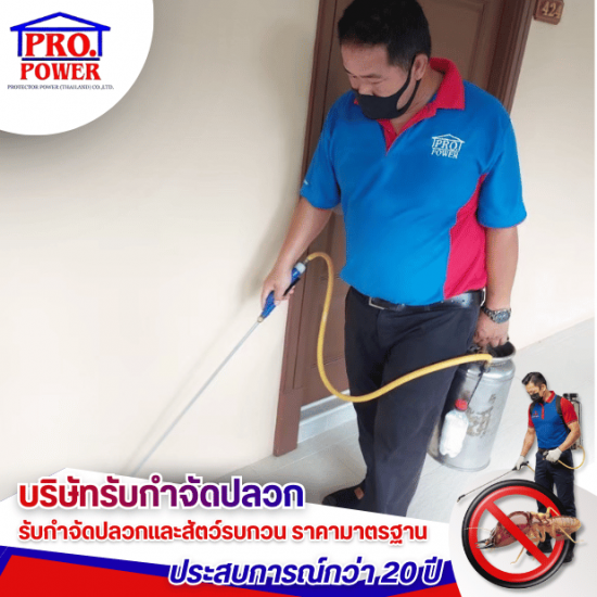 บริษัทรับกำจัดมด แมลงสาบและหนู ศรีราชา พัทยา สัตหีบ - บริษัทกำจัดปลวก กำจัดแมลง พัทยา ชลบุรี  ระยอง