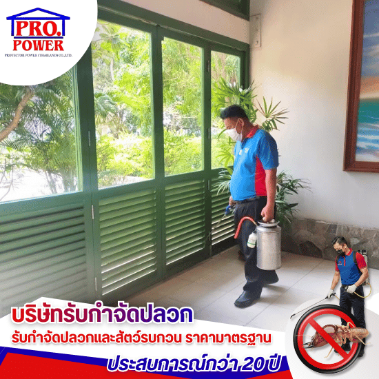 รับเหมาวางระบบกำจัดปลวกในอาคาร พัทยา