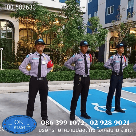 รักษาความปลอดภัย ดอนเมือง