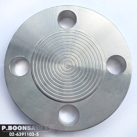 หน้าแปลนบอด Blind Flange