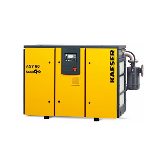 Rotary Screw Vacuum Pumps