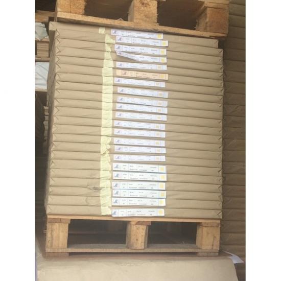 กระดาษแบงค์สี หาดใหญ่ สงขลา กระดาษแบงค์สี หาดใหญ่ สงขลา 