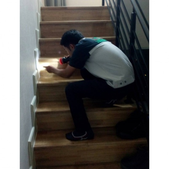 บริการสำรวจพื้นที่ในการกำจัดปลวก บริการสำรวจพื้นที่ในการกำจัดปลวก 