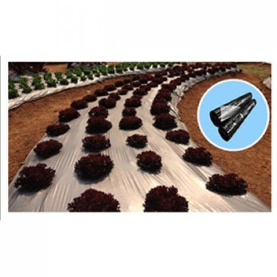 Plastic cover Plastic cover 