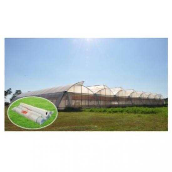 Green House Green House Nonthaburi Green House Green House Nonthaburi  google 