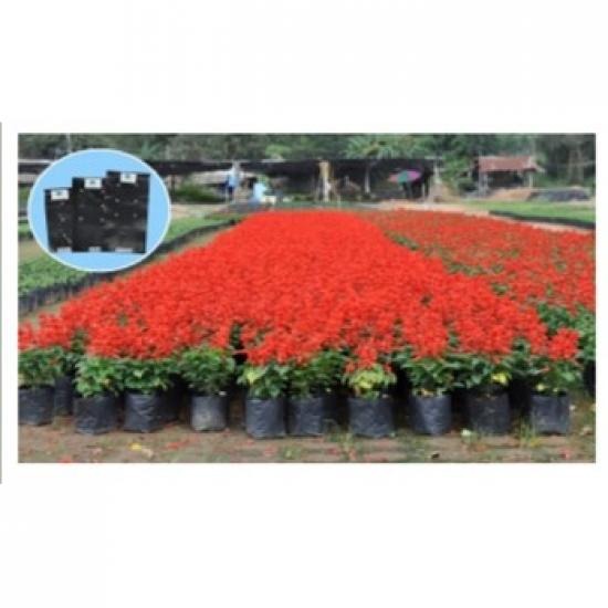 Nonthaburi Nursing Bag Nonthaburi Nursing Bag 