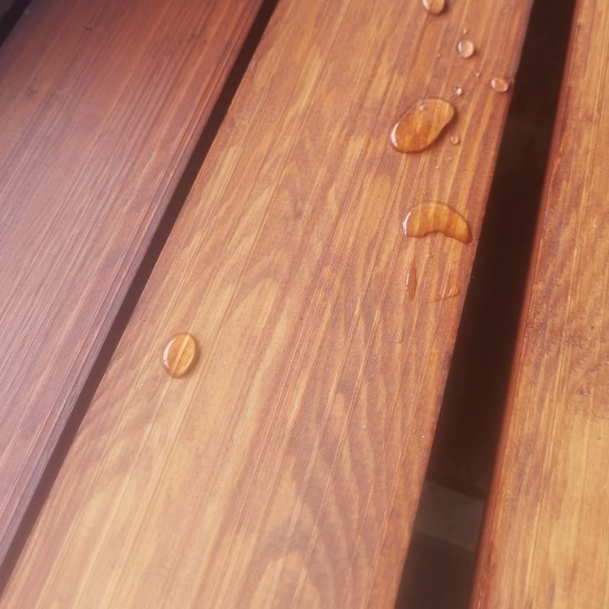 ร้านขายไม้สนใกล้ฉัน