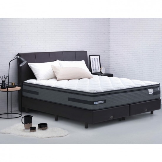 ขายส่งที่นอนยี่ห้อ Sealy Thailand YellowPages