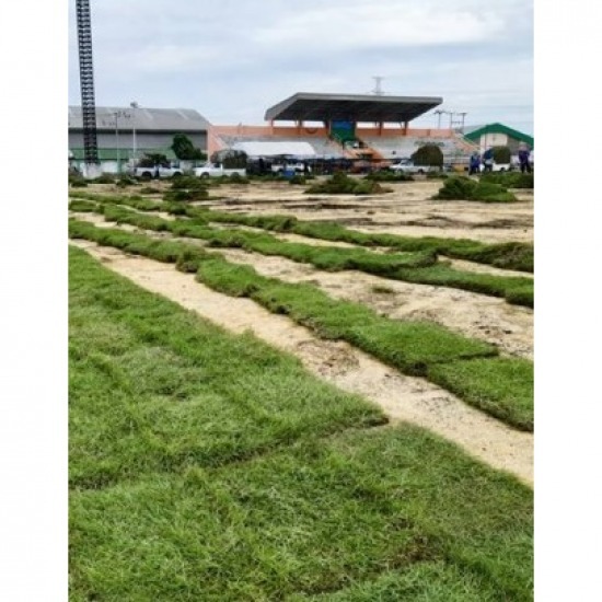 รับปูหญ้าเทียม สนามฟุตบอล รับปูหญ้าเทียม สนามฟุตบอล 