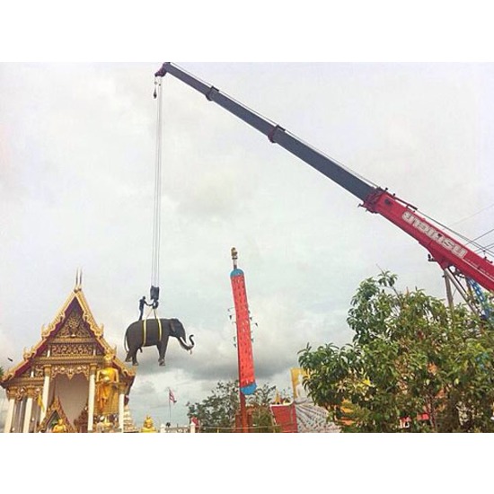 ซ่อมดามบลูมเครน ซ่อมดามบลูมเครน 