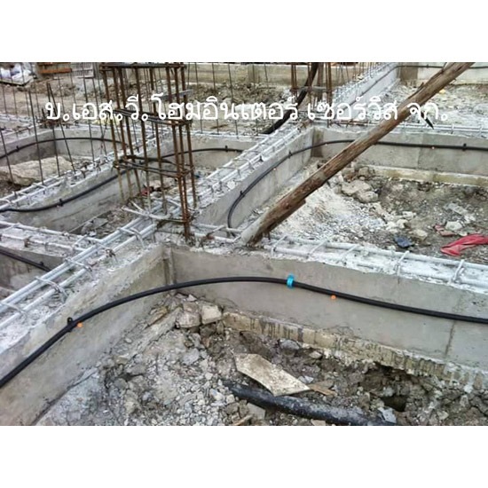 วางท่อกำจัดปลวก รับกำจัดปลวก  ปลวก  ฉีดปลวก 