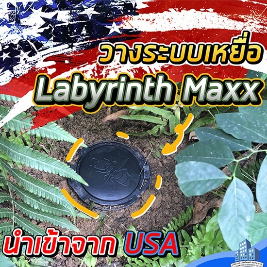 กำจัดปลวกด้วยระบบเหยื่อ นนทบุรี