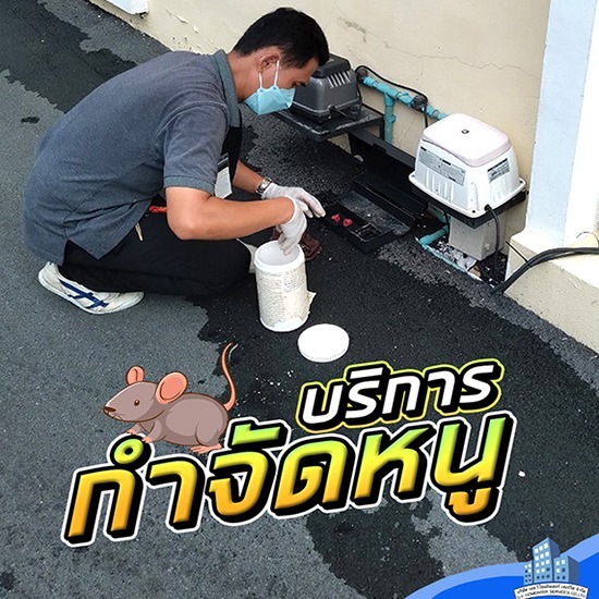 รับกำจัดหนู บางบัวทอง รับกำจัดหนู บางบัวทอง 