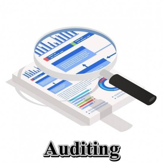 Auditing Services	 Auditing Services 