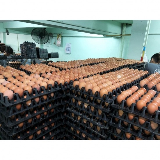 ณิชากมล ไข่สด (ขายส่งไข่ไก่ ประชาอุทิศ) - รับต้มไข่แก้บน กรุงเทพ