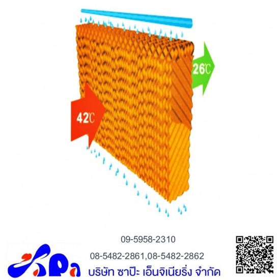 แผงรังผึ้ง แผงรังผึ้ง