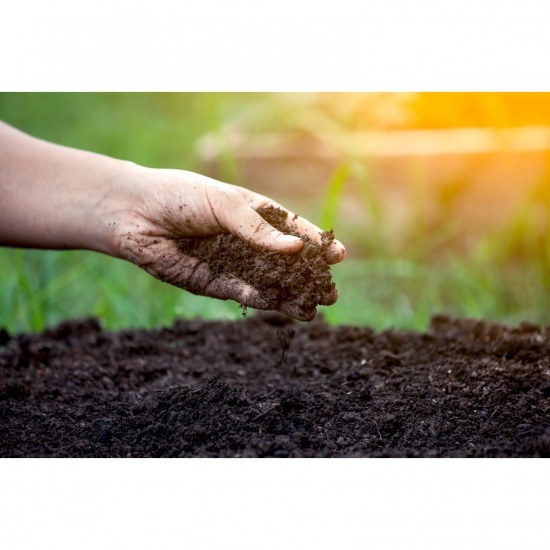 เคมีภัณฑ์โรงงานปุ๋ย เคมีภัณฑ์โรงงานปุ๋ย