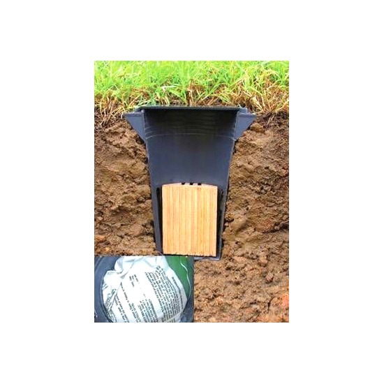 กำจัดปลวก กรีนพลัส 03