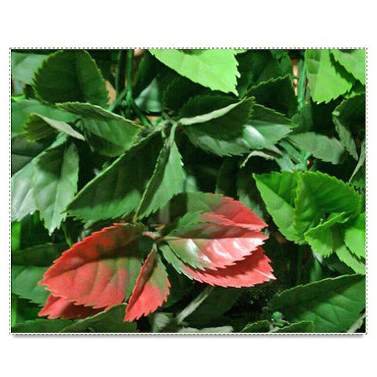 หญ้าเทียม