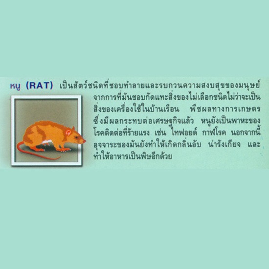 กำจัดปลวก กำจัดปลวก 