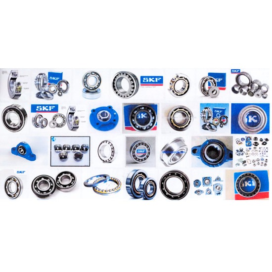 Bearing SKF Bearing  ตลับลูกปืน 