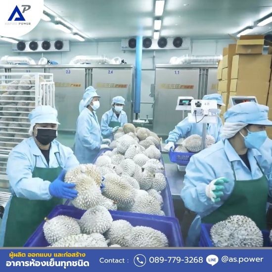 Freezer Room ห้องแช่แข็ง รับสร้างห้องFreezer Room  รับสร้างห้องแช่แข็ง  บริษัทรับสร้างให้แช่แข็ง  สร้างห้องแช่แข็งราคา  Freezer Room ห้องแช่แข็ง  สร้างFreezer Room ราคา  สร้างFreezer Room ใกล้ฉัน  รับสร้างห้องแช่แข็งใกล้ฉัน  บริษัทสร้างห้อง Freezer Room  รับสร้างห้องแช่แข็ง นนทบุรี 