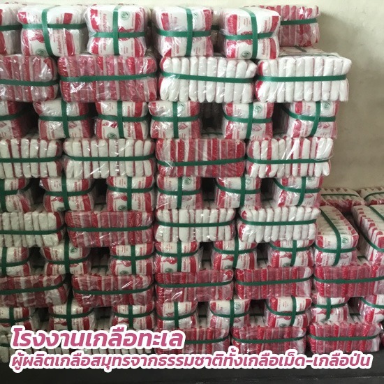 เกลือทะเล ตรานกนางนวล เกลือทะเล ตรานกนางนวล 