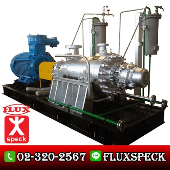 Lined Pump for chemical with mechanical seal or magnetic dri ปั๊มมัลติสเตจ Petrochemical 