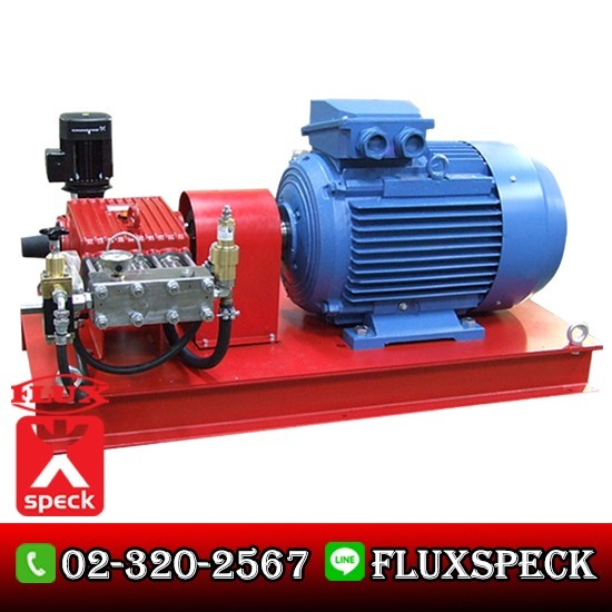 Hot Oil Pump or Thermal Oil Pump ปั๊มแรงดันสูง Plunger Pump System 
