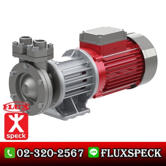 Regenerative Turbine Pump with Magnetic Drive - บริษัท ฟลุคส์ ชเป็ค ปั๊ม จำกัด