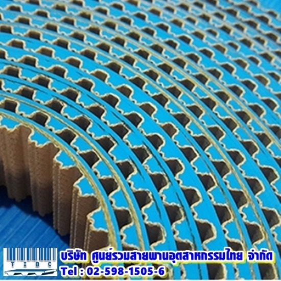 สายพานตีนตะขาบ สายพาน 