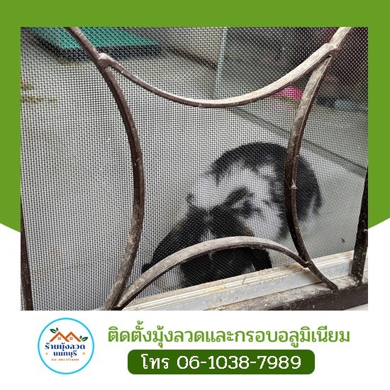 ช่างติดตั้งมุ้งสแตนเลส แข็งแรง ทนทาน - มุ้งลวดราคาถูก ช่างศักดิ์