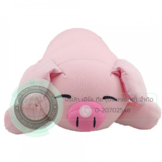 รับผลิตของที่ระลึก กระเป๋าผ้าแคนวาส  รับผลิตกระเป๋าผ้า  กระเป๋า  กระเป๋าผ้าดิบ  รับผลิตของที่ระลึก 