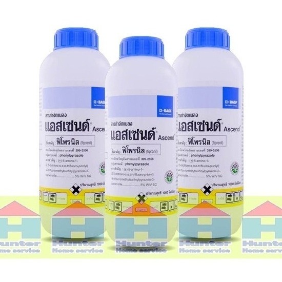 ยากำจัดปลวกแอสเซนด์ ยากำจัดปลวกแอสเซนด์ โคราช 