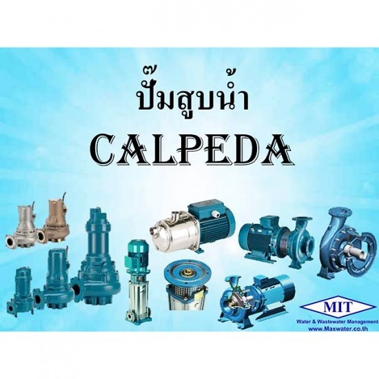 ตัวแทนจำหน่ายปั๊มน้ำคาลปีด้า - บริษัทออกแบบ-ติดตั้งระบบบำบัดน้ำเสีย และกำจัดกากตะกอน ตัวแทนจำหน่ายปั๊มน้ำคาลปีด้า - บริษัทออกแบบ-ติดตั้งระบบบำบัดน้ำเสีย และกำจัดกากตะกอน