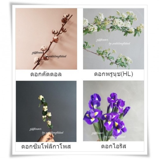 ดอกไม้สด ปากคลองตลาด ดอกไม้สด ปากคลองตลาด 