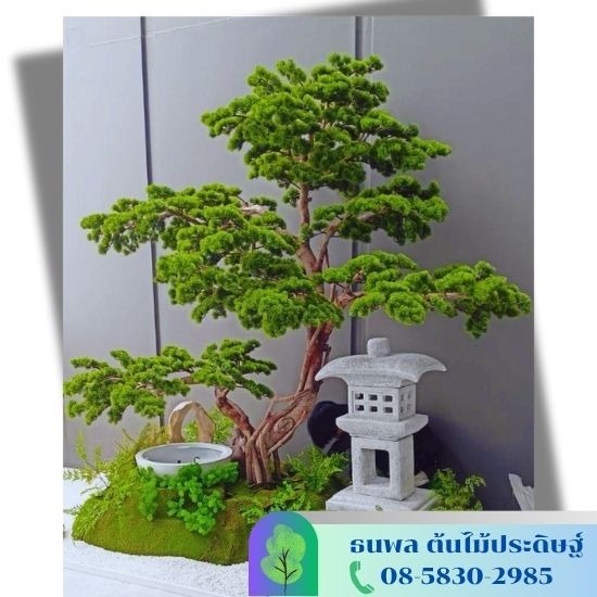 Providing artificial tree garden services Fake tree garden arrangement at cheap prices  Fake tree garden arrangement  Fake tree vertical arrangement  Fake tree horizontal arrangement  Fake rock garden  Moss and fake tree arrangement 