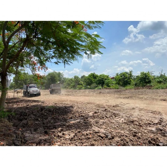Land filling contractor, Pathum Thani Land filling contractor  Pathum Thani 
