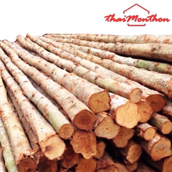 ไม้เสายูคาสามพราน