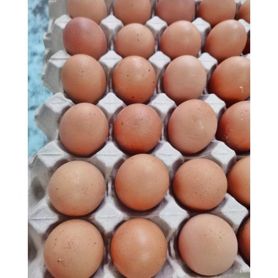 Farm eggs Farm eggs 