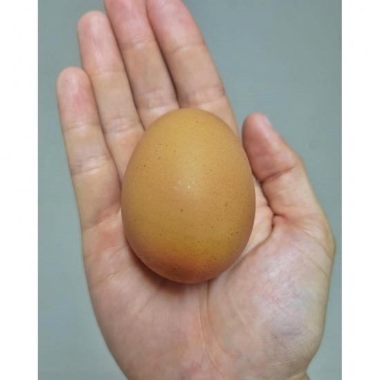 Chonburi Egg Farm Chonburi Egg Farm  Phanat Nikhom chicken egg farm  Sriracha chicken egg farm  Ban Bueng chicken egg farm  Sell cheap chicken eggs  Wholesale chicken egg sources  Interested in the chicken egg selling business  Chonburi chicken egg farm  Sell chicken eggs 