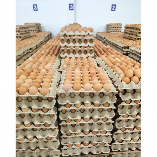 Wholesale source of chicken eggs Wholesale source of chicken eggs 