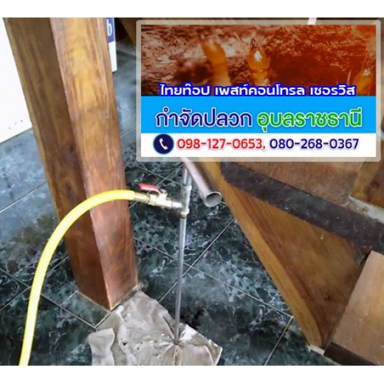 กำจัดปลวก ศรีสะเกษ กำจัดปลวก ศรีสะเกษ ราคา  กำจัดปลวก ศรีสะเกษ ราคาถูก  กำจัดปลวก ศรีสะเกษ ใกล้ฉัน  กำจัดปลวกใกล้ฉัน ศรีสะเกษ  กำจัดปลวกราคาถูก ศรีสะเกษ  กำจัดปลวก ศรีสะเกษ 
