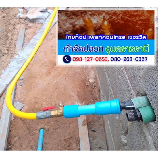 กำจัดปลวก ยโสธร กำจัดปลวก ยโสธร ราคา  กำจัดปลวก ยโสธร ราคาถูก  กำจัดปลวก ยโสธร ใกล้ฉัน  กำจัดปลวกราคา ยโสธร  กำจัดปลวกราคาถูก ยโสธร  กำจัดปลวกใกล้ฉัน ยโสธร  กำจัดปลวก ยโสธร 