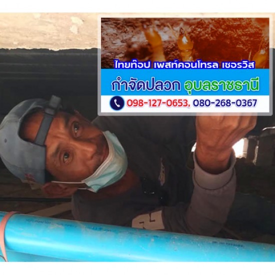 บริษัทกำจัดแมลง อุบลราชธานี บริษัทกำจัดแมลง อุบลราชธานี ราคา  บริษัทกำจัดแมลง อุบลราชธานี ราคาถูก  บริษัทกำจัดแมลง อุบลราชธานี ใกล้ฉัน  บริษัทกำจัดแมลงราคา อุบลราชธานี  บริษัทกำจัดแมลงราคาถูก อุบลราชธานี  บริษัทกำจัดแมลงใกล้ฉัน อุบลราชธานี  บริษัทกำจัดแมลง อุบลราชธานี 