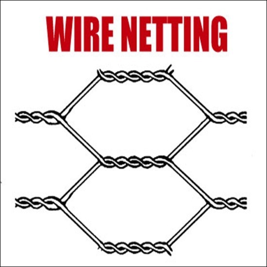 ขายส่งลวดตาข่ายกรงไก่ Wire Netting ขายส่งรั้วWire Netting  จำหน่ายรั้วWire Netting  ขายลวดตาข่ายกรงไก่ 