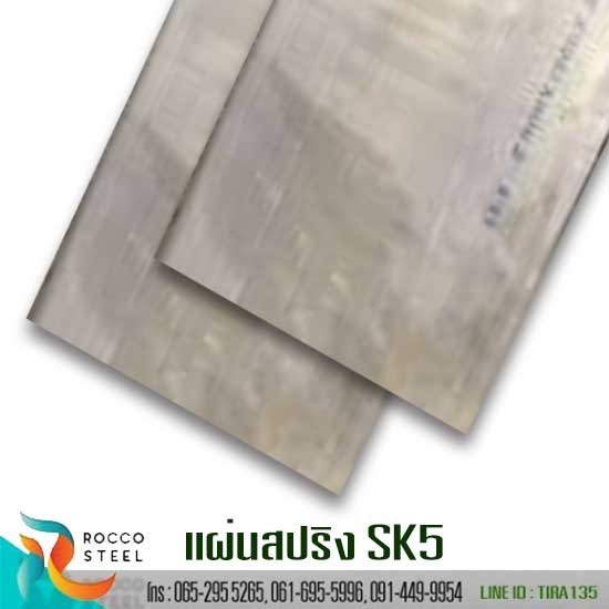 แผ่นสปริง-SK5 แผ่นสปริง-SK5 