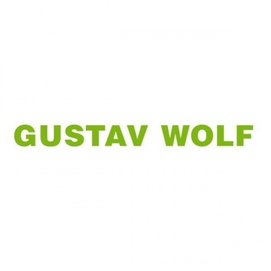 สลิงลิฟต์ Gustav Wolf สลิงลิฟต์ Gustav Wolf  เปลี่ยนสลิงลิฟต์  การตรวจ สอบ ความ ปลอดภัย ของระบบลิฟต์ 