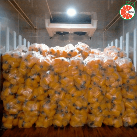 ขายส่งน้ำส้มคั้นสดเเท้ ราคาถูก ขายส่งน้ำส้มคั้นสดแท้ 